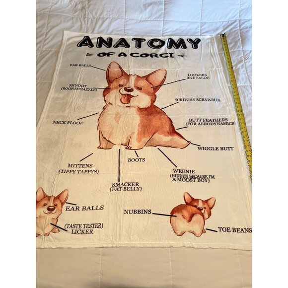 Cozy Corgi Blanket 40x50 | Cute Corgi Butt Design | Small Throw for Dog Lovers - Picture 1 of 3